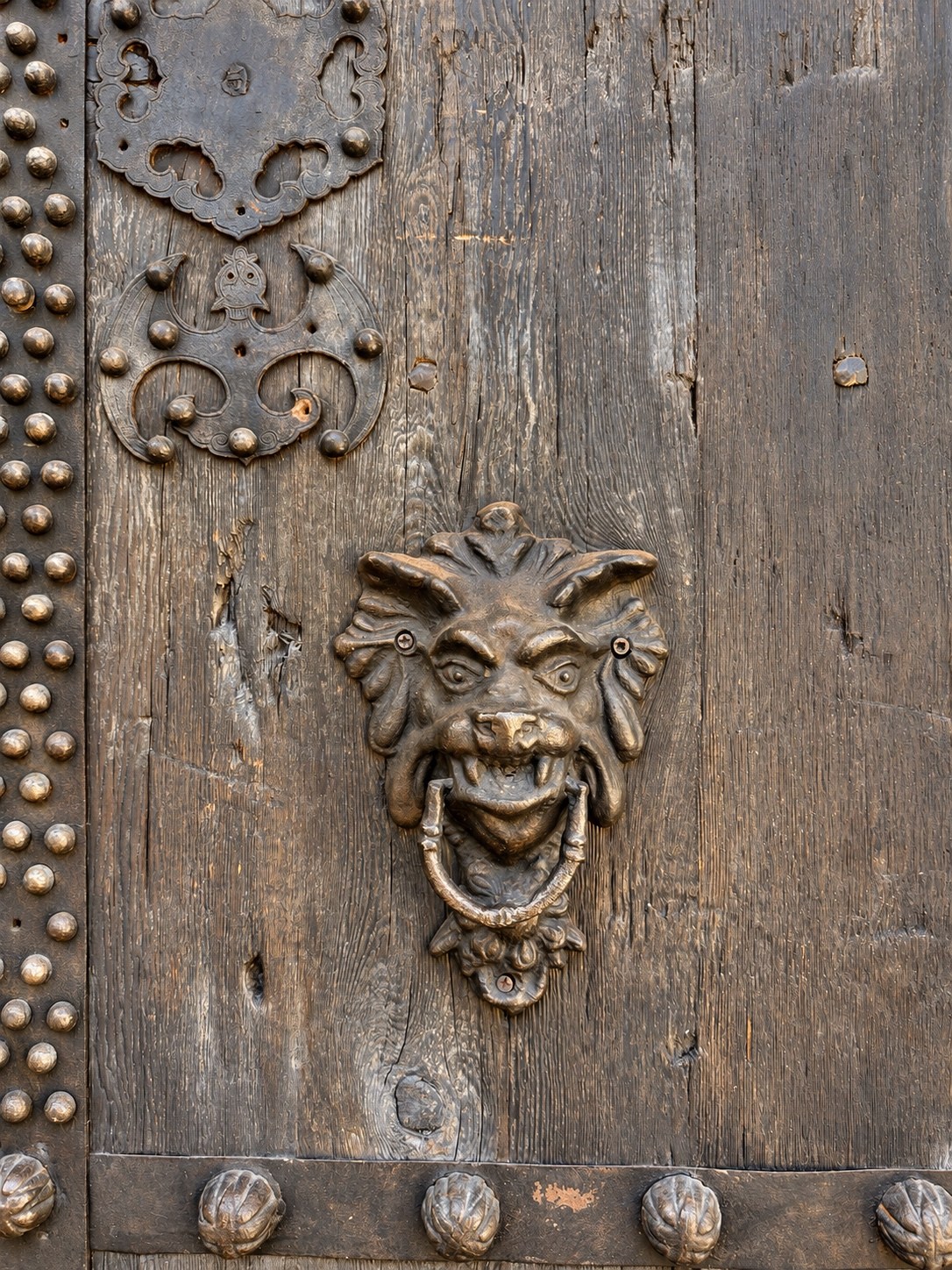 Decorative lion-head door knocker